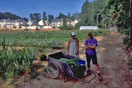 East Lake Commons Organic Garden