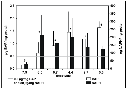 Figure 6. Bile metabolites (μg/mg protein) measured in white suckers from the Little Scioto River.