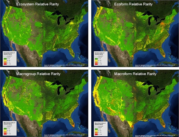 Relative ecosystem rarity metrics