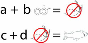 Figure 4-3 illustrates the formula for stressor-response relationships from ecological simulation models.