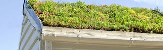 Green Roof