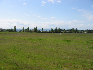 Midway Landfill