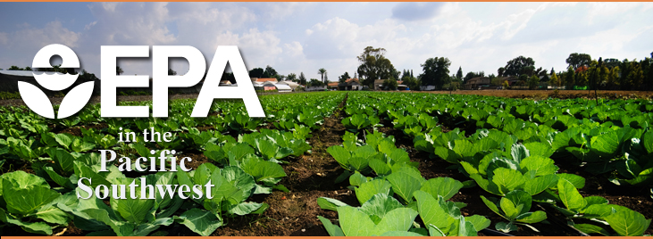 California Central Valley Lettuce Field