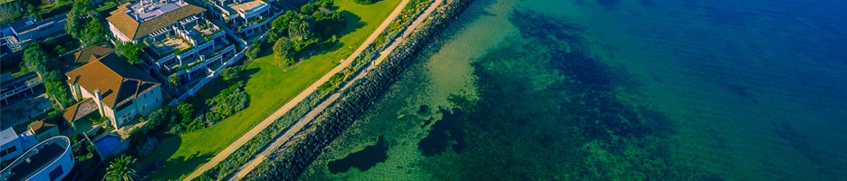 Picture of buildings next to lake with algae