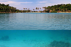 cross section of clear blue water