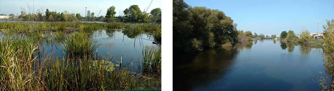 Photos of These photos from 2017 show progress after removing contaminated sediment.