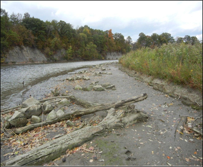 Fish shelf at low water. These three restoration projects totaled $2.7 million of work and spanned 5 years. The heron rookery is thriving since the completion of these restoration projects. 