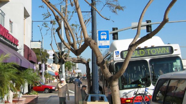 Uptown District Bus Service