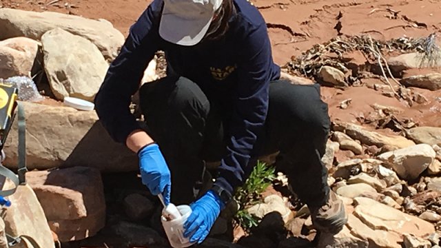 Worker with latex gloves placing water sample into a bottle