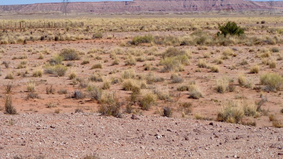 Desert landscape with power lines and ridge in background