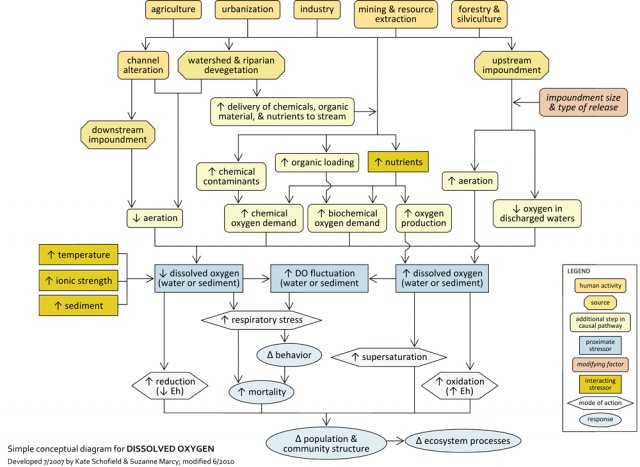 A simple conceptual diagram for dissolved oxygen