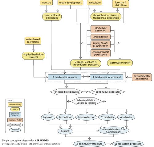  simple conceptual diagram, depicting pathways from sources to impairments, related to herbicides.