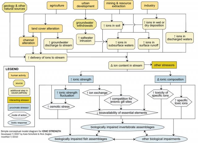 A simple conceptual diagram illustrating causal pathways, from sources to impairments, related to ionic strength.