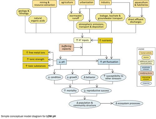 A simple conceptual diagram illustrating causal pathways, from sources to impairments, related to low pH.