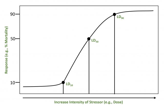 Increase Intensity of Stressor