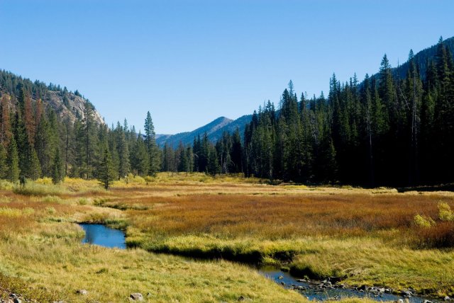 Headwater Stream