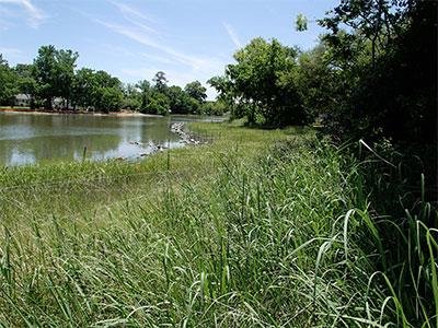 A living shoreline in Norfolk, Virginia.