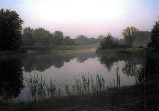 Restored wetlands at the site