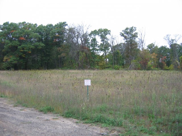 Native grasses now grow on the Site to augment the crane environment