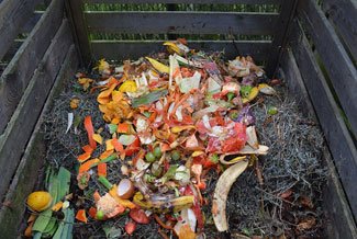 Compost bin full of food scraps