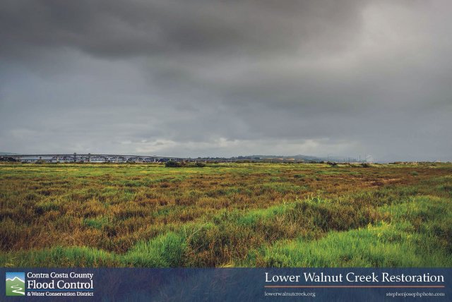 Marshlands looking towards Suisun Bay