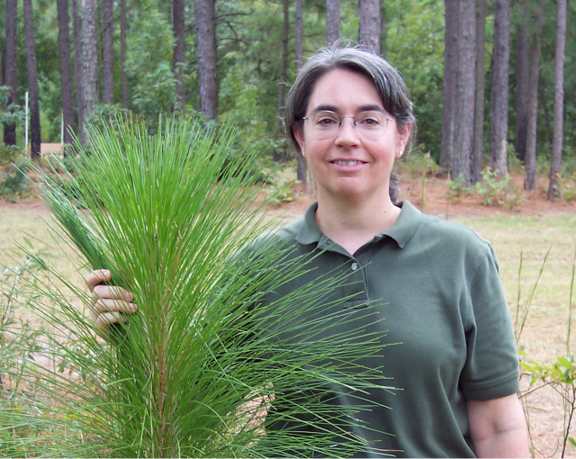 EPA researcher Betsy Hilborn holds up a leaf