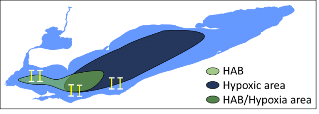 Map of General sampling plan to monitor Lake Erie’s food web in hypoxic, HAB, and hypoxic + HABs regions 