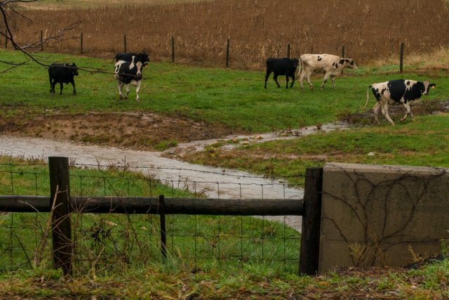 Source Water Protection, Potential Sources of Contamination, Nutrients