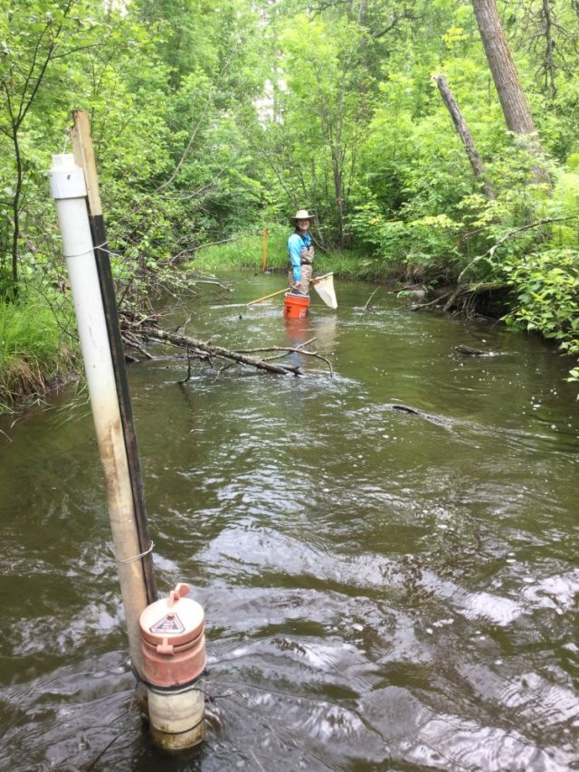 Mud Stream - Regional Monitoring Networks - Kansas