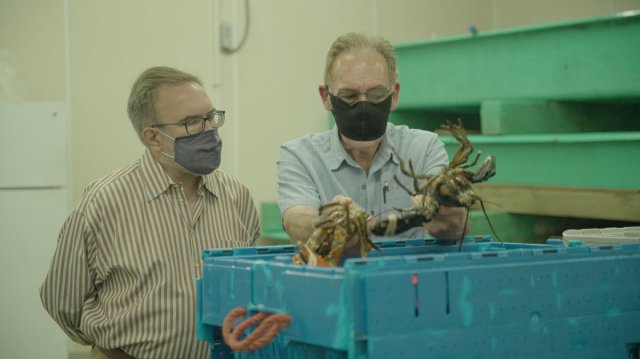 EPA Administrator Wheeler tours the Cape Porpoise Lobster &amp; Bait Company