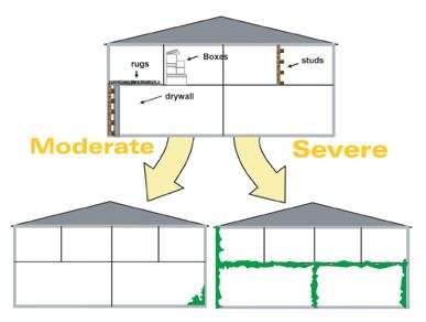 Testing for molds with EPA’s DNA-based technology may show if a structure is contaminated with molds and fungi, and to what degree.