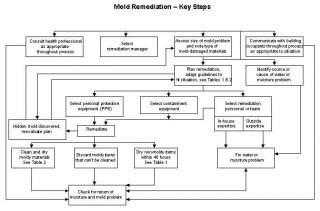 Key steps flowchart