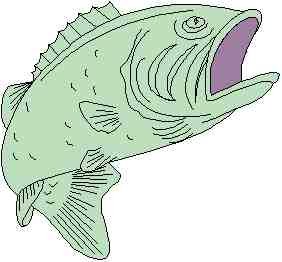 Image of fish