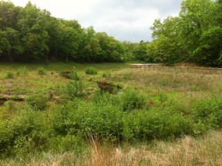 Photo of stream in Indiana Dune National Park