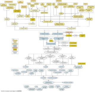 Snapshot of a detailed conceptual diagram for ammonia.