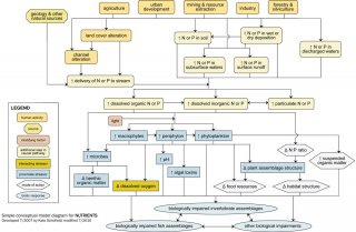 Example of a simple conceptual model diagram for nutrients.