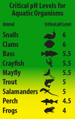 Graph showing level of acidity that is tolerable to various species of aquatic life