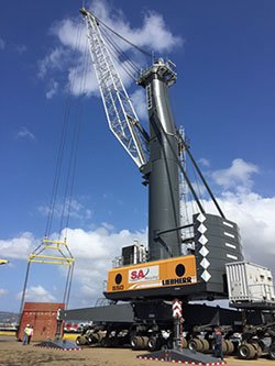 SA Recycling Electric Crane