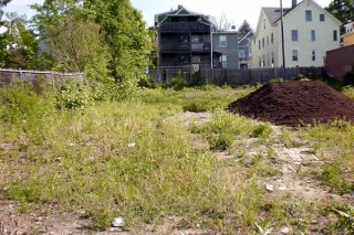 Burton Street Community Garden from the Beginning...