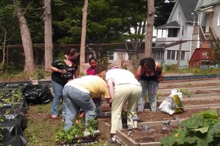 Crownbrook Greenhouse &amp; Children's Community Garden - After