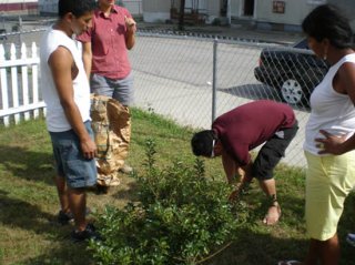 Providence residents learn about how to safely garden in their backyards and test for lead contamination thanks to a collaboration of the Environmental Justice League of RI, Southside Community Land Trust, and Childhood Lead Action Project, in Summer 2009