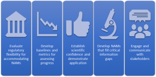 graphic depicting 5 objectives of EPA NAM work plan