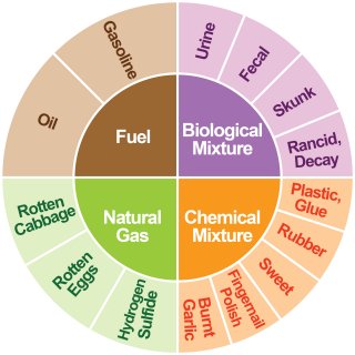 Louisville Odor Wheel