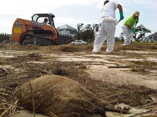 Aftermath of Hurricane Isaac