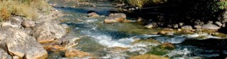 A creek flowing over rocks.