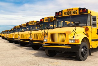 School Bus Sector