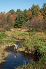 This photo shows a member of the RMNs collecting samples in a stream.