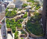 Example of green roofs in a building complex in Osaka, Japan. Source: Yuji Kotani/Getty Images