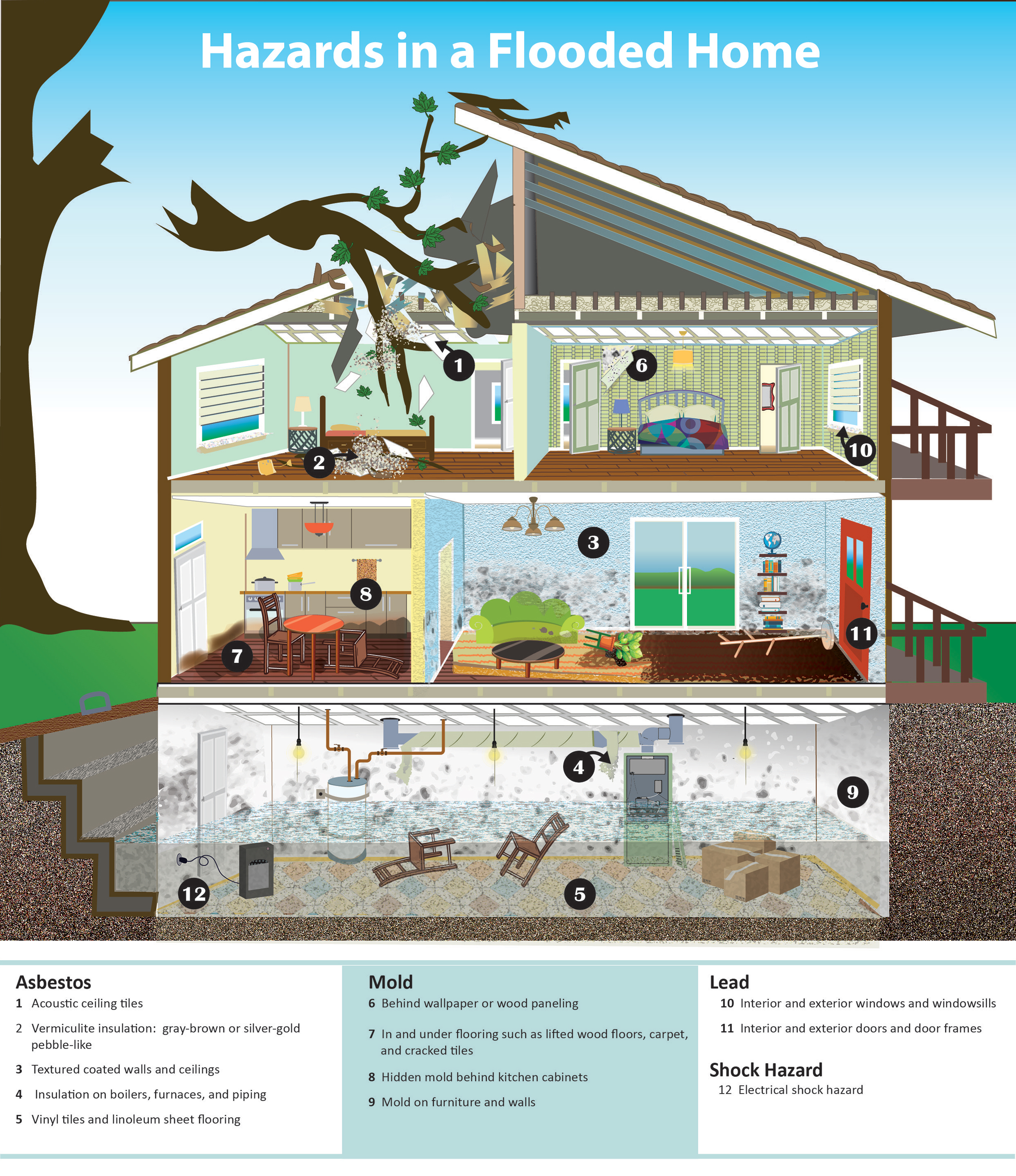 The image is of a flooded two-story home with a basement. The basement shows standing water and mold on the walls. The first floor shows mold on the walls and mud and dirt on the floors from where the water has receded The second floor shows mold, lead based paint around the windows, roof damage and asbestos in the ceiling tiles and vermiculate insulation. 