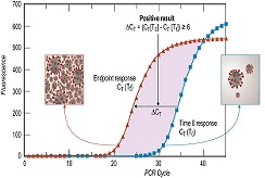 Example Depiction of the SARS-CoV-2 RV-RTPCR Method